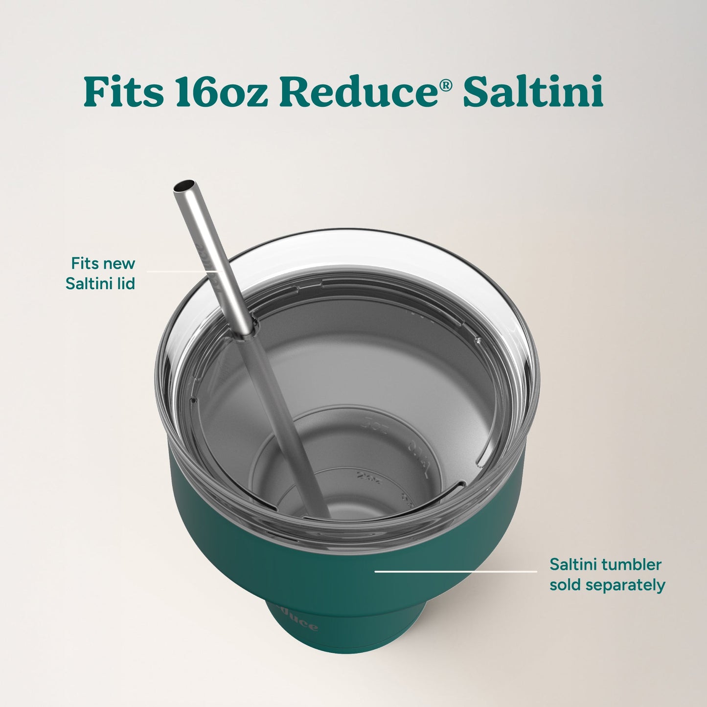 saltini-straw-set-j2 4PK_SaltiniStraws_SS-4.jpg