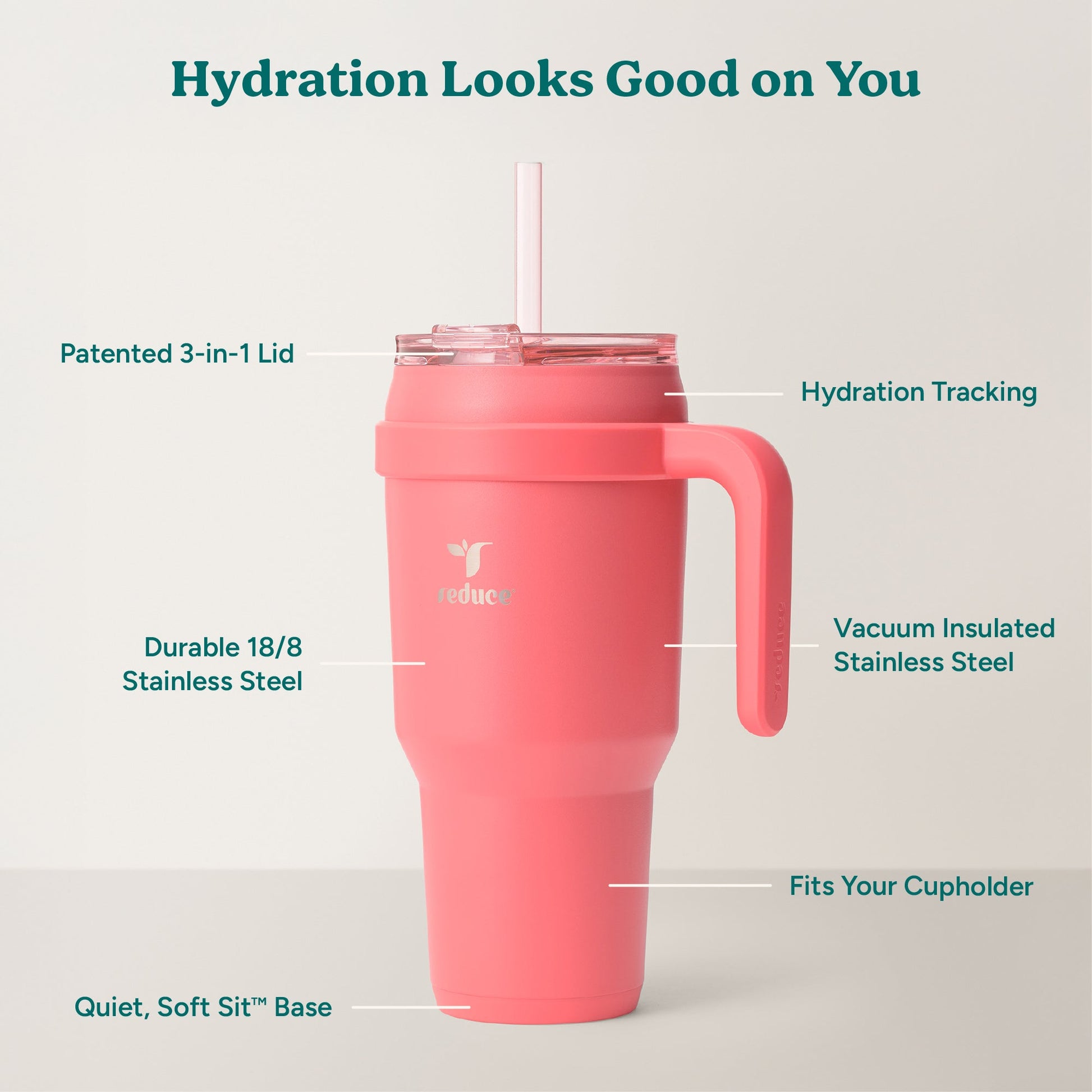 cold1-40-oz-k1 Cold1_40oz_Daiquiri_Infographic_2.jpg