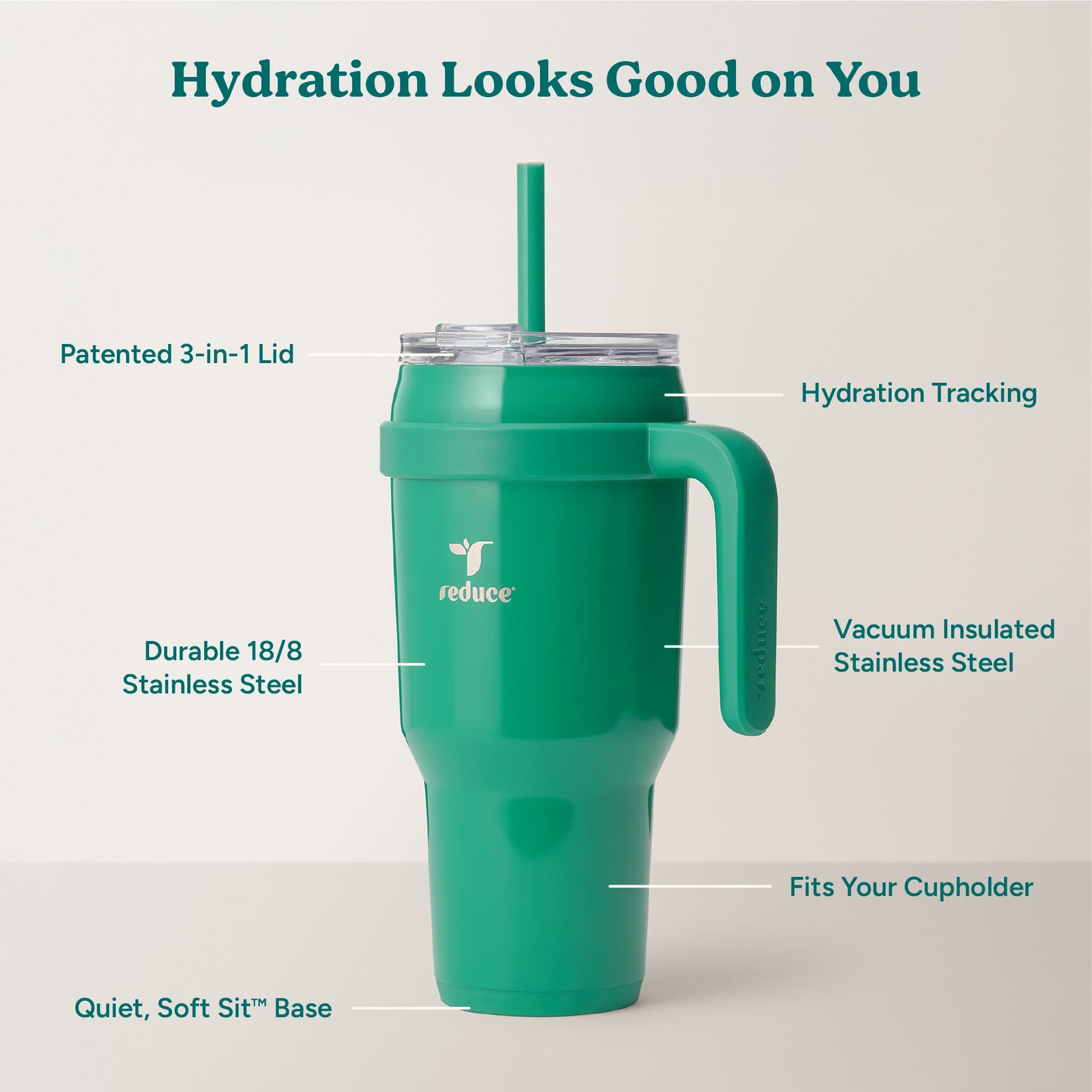 cold1-40-oz-k1 Cold1_40oz_PalmLeaf_Infographic_2.jpg