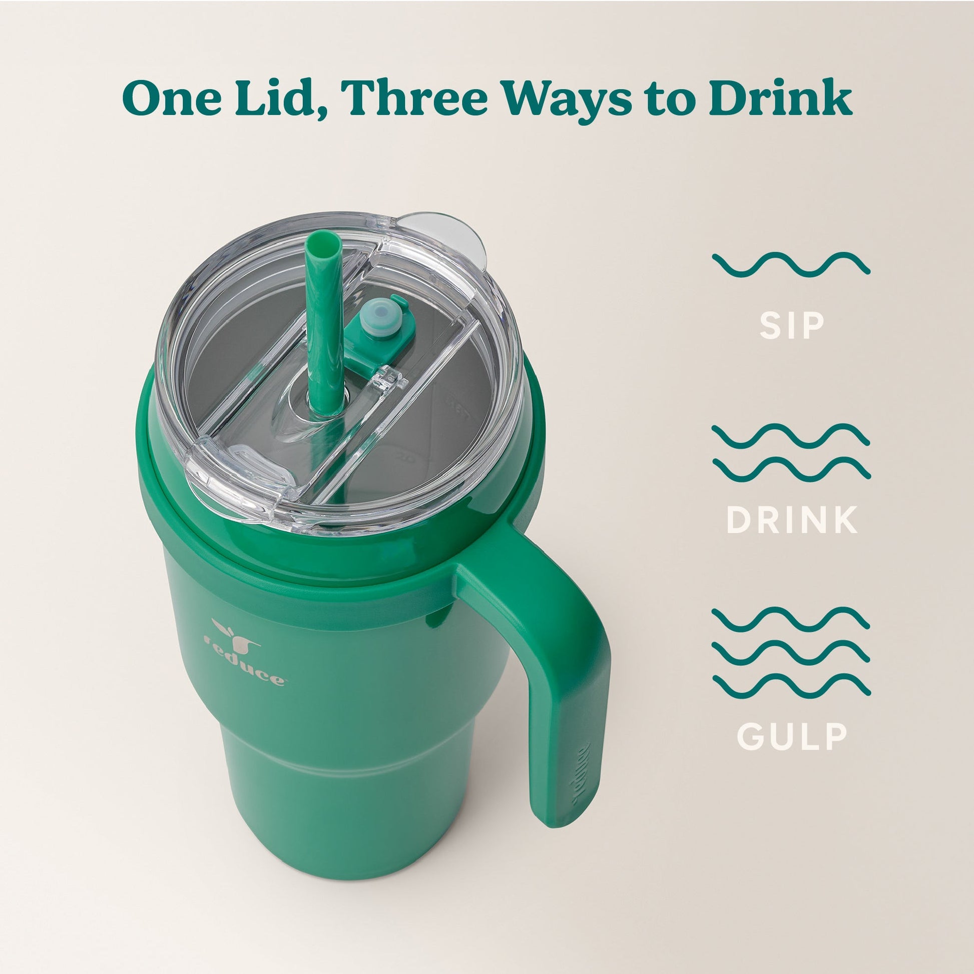 cold1-40-oz-k1 Cold1_40oz_PalmLeaf_Infographic_3.jpg