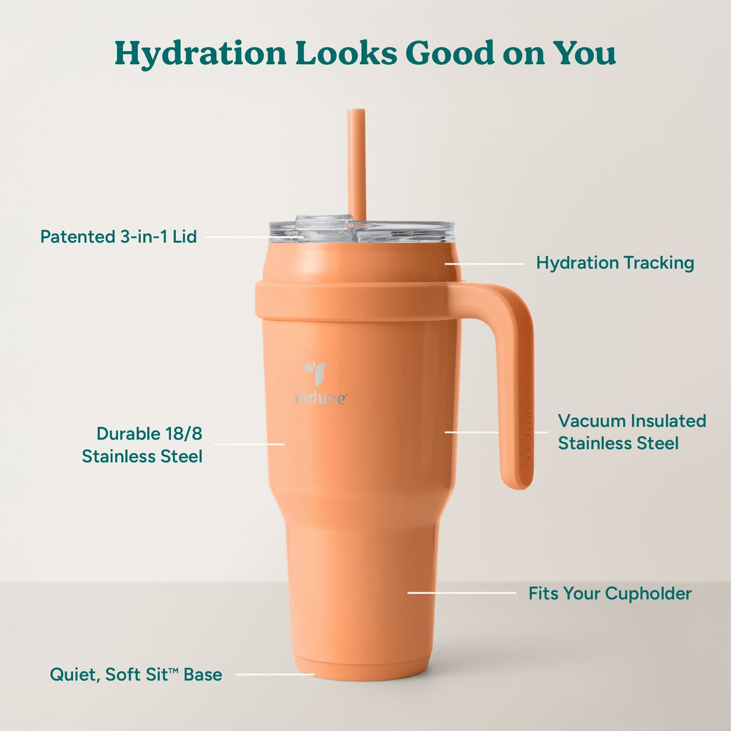 cold1-40-oz-k1 Cold1_40oz_Papaya_Infographic_2.jpg