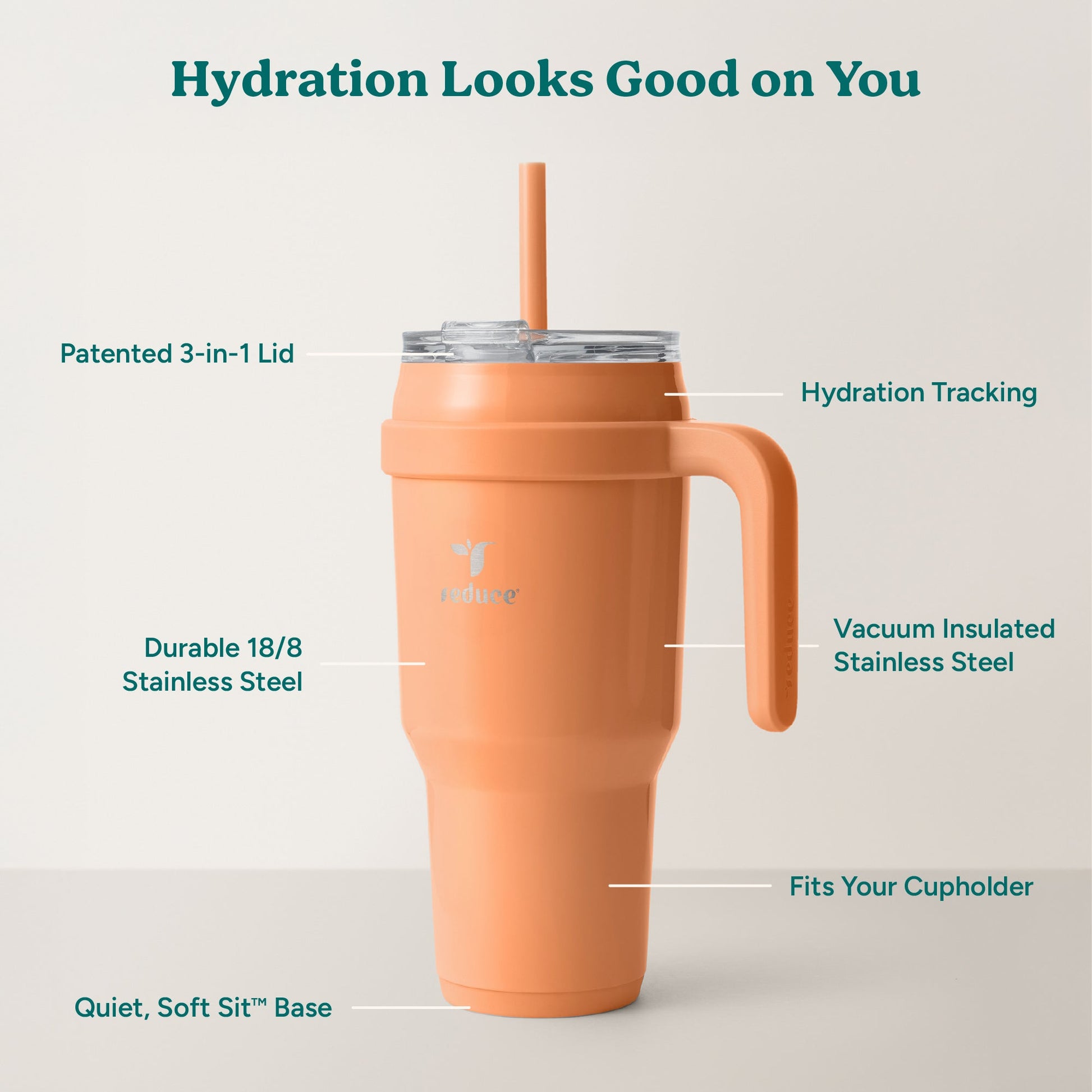 cold1-40-oz-k1 Cold1_40oz_Papaya_Infographic_2.jpg